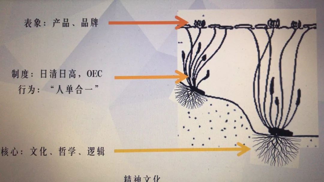 博雅管理与人单合一2.jpg
